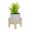 8.25" Potted Green Agave Plant with Wooden Stand